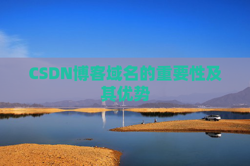 CSDN博客域名的重要性及其优势